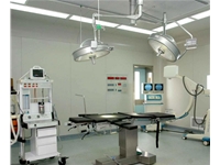 层流菠萝视频网站净化